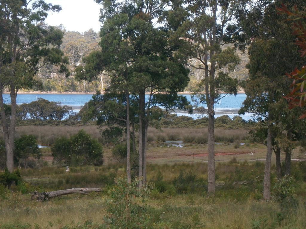Top Of The Lake Holiday Units Merimbula Eksteriør billede