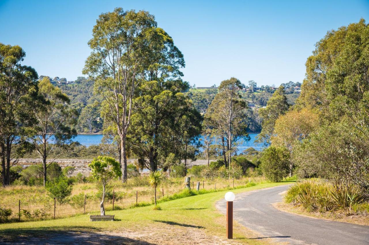 Top Of The Lake Holiday Units Merimbula Eksteriør billede